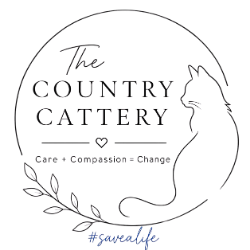 shelter logo