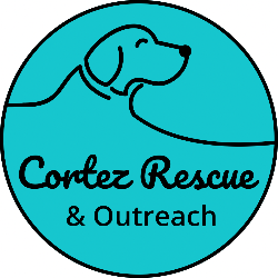 shelter logo