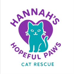 shelter logo