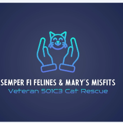 shelter logo