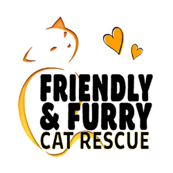 Friendly and Furry Cat Rescue