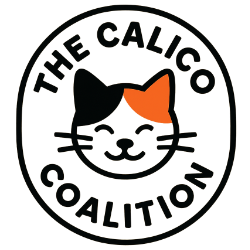 shelter logo
