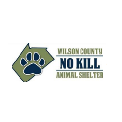 shelter logo