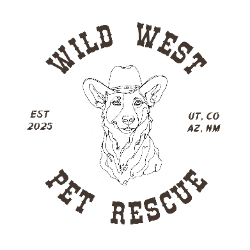 shelter logo