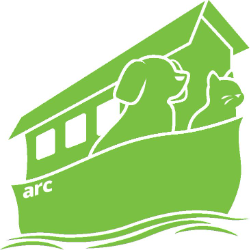 shelter logo