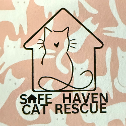 shelter logo