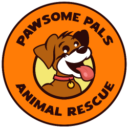 shelter logo