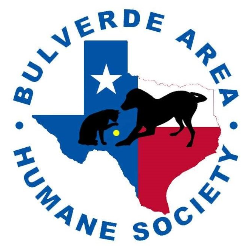 shelter logo