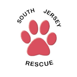 shelter logo